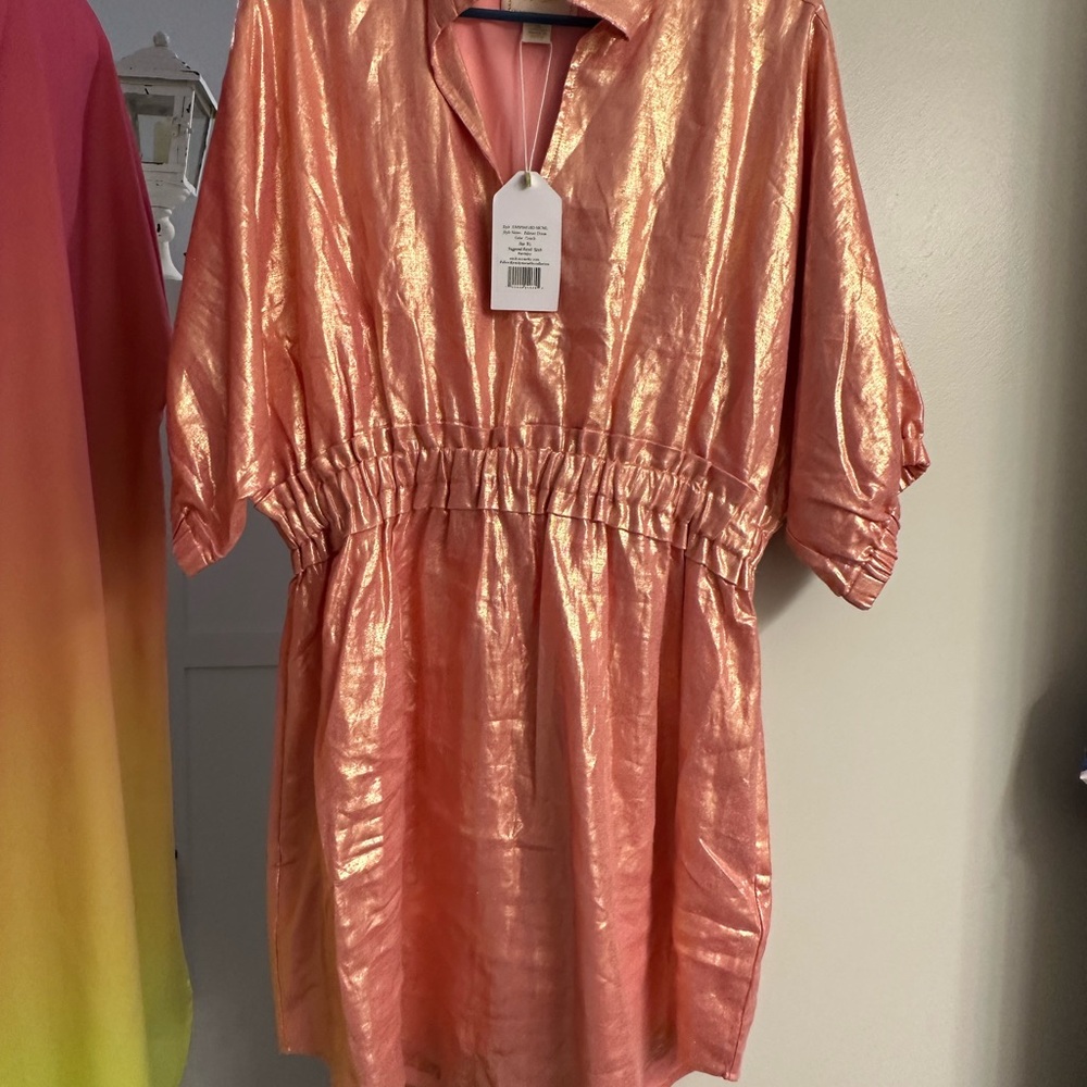 NWT size XL Emily McCarthy dress